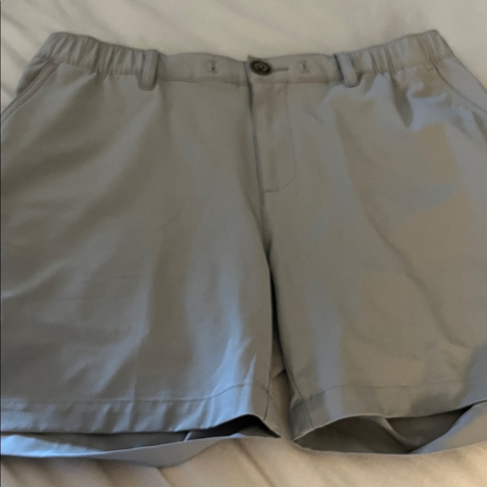 Chubbies Shorts